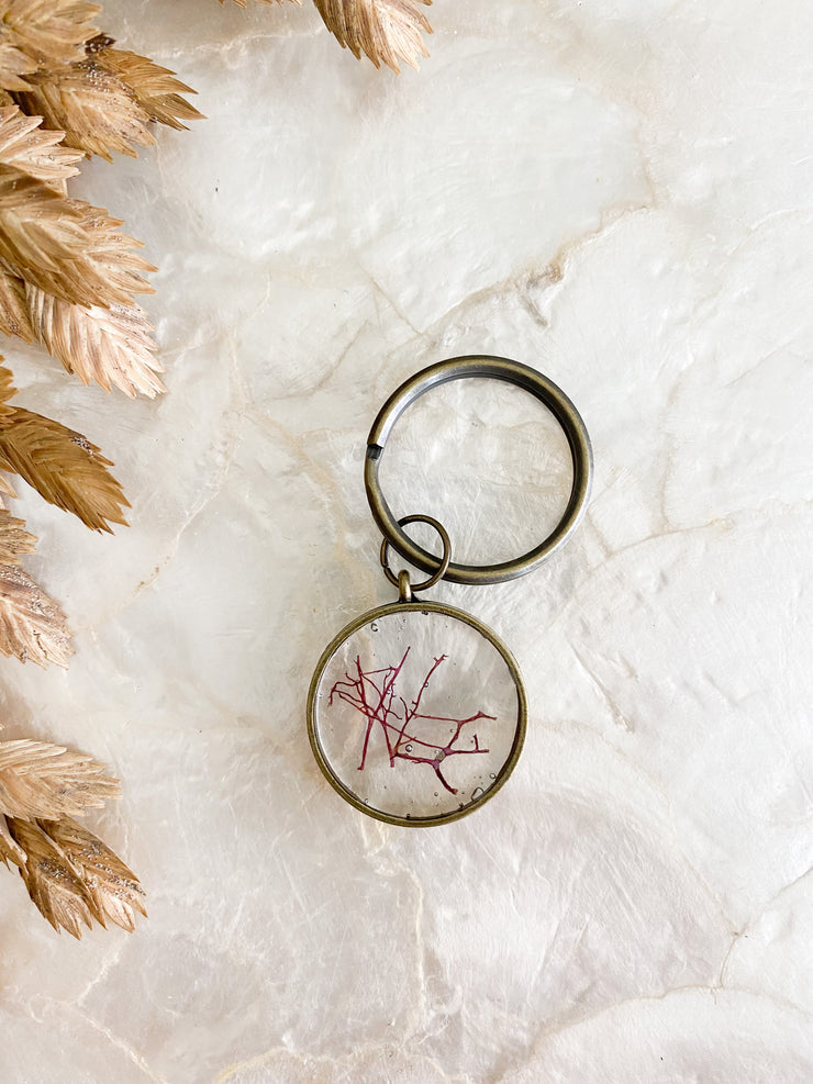 Brass Circle Resin Keychain - Agardhiella