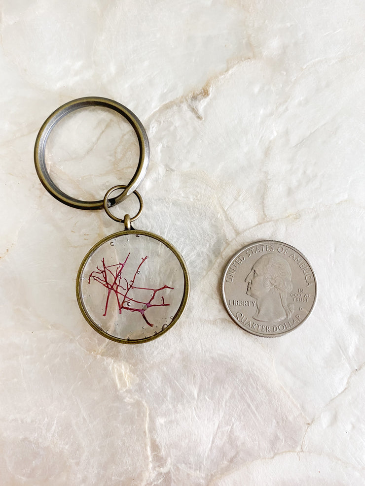 Brass Circle Resin Keychain - Agardhiella