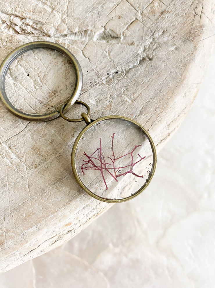 Brass Circle Resin Keychain - Agardhiella