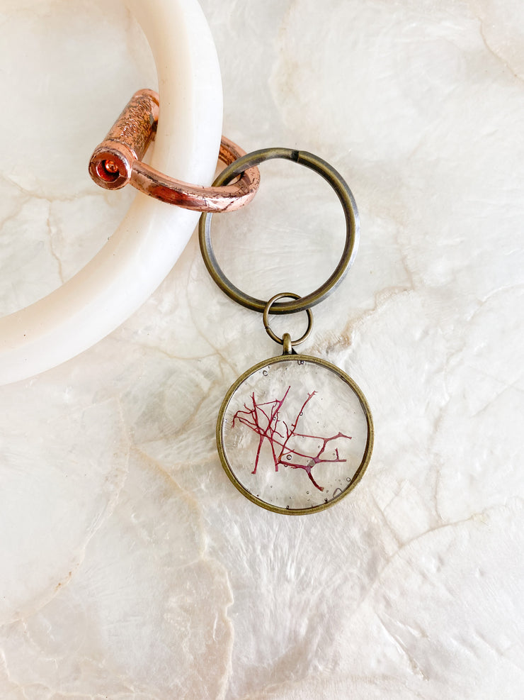 Brass Circle Resin Keychain - Agardhiella