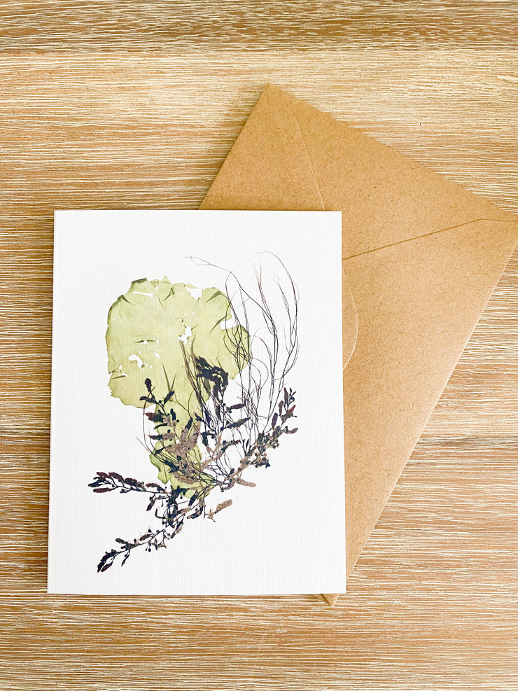 Blank Greeting Card - "Cohort III"