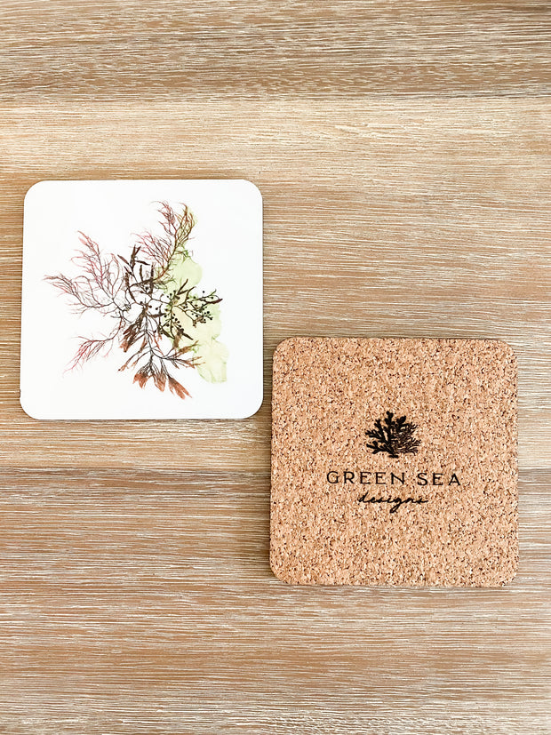 Set of 2 Square Cork-backed Coasters - Commensalism