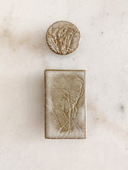Ceramic Magnets - Grateloupia
