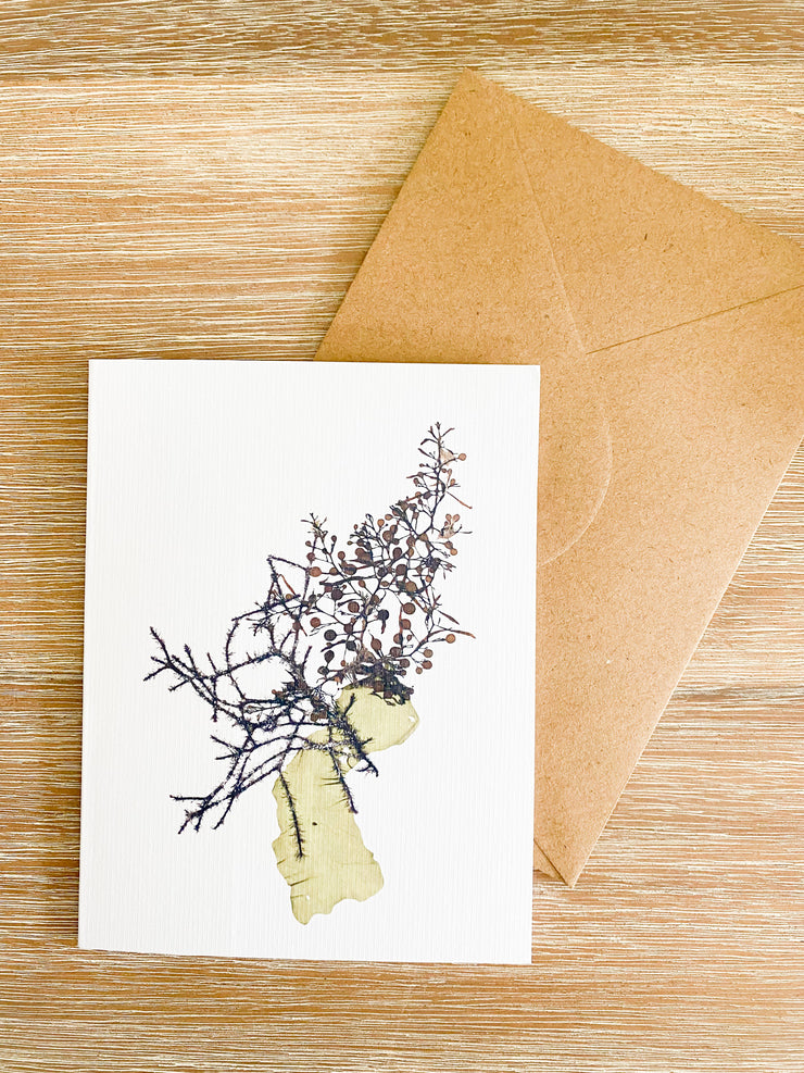 Blank Greeting Card - "Symbiosis II"