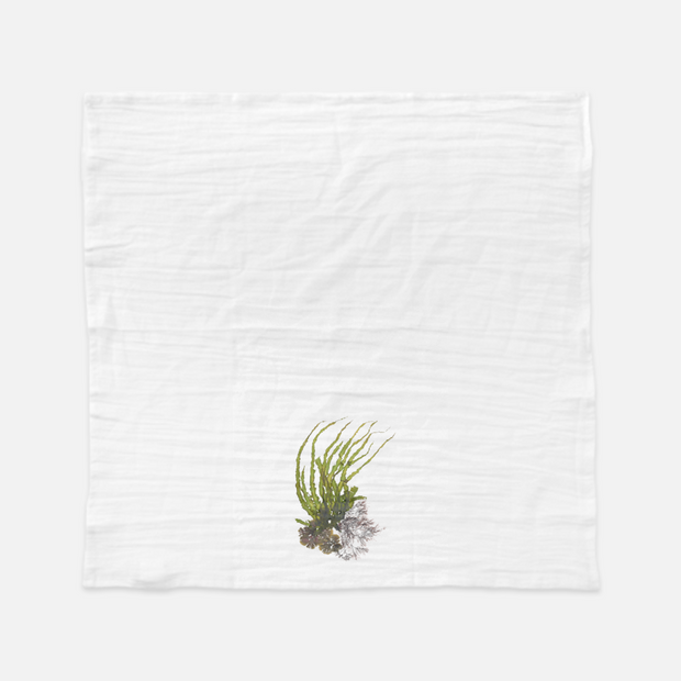 Tea Towel - "Crest II"