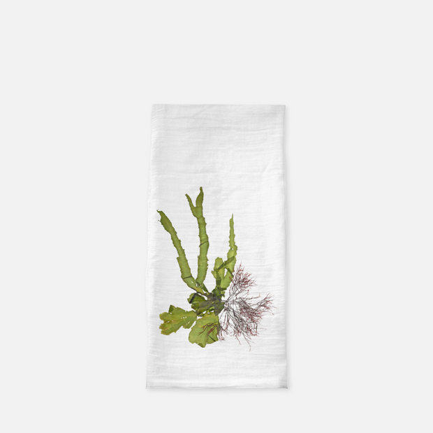 Tea Towel - "Intertidal II"