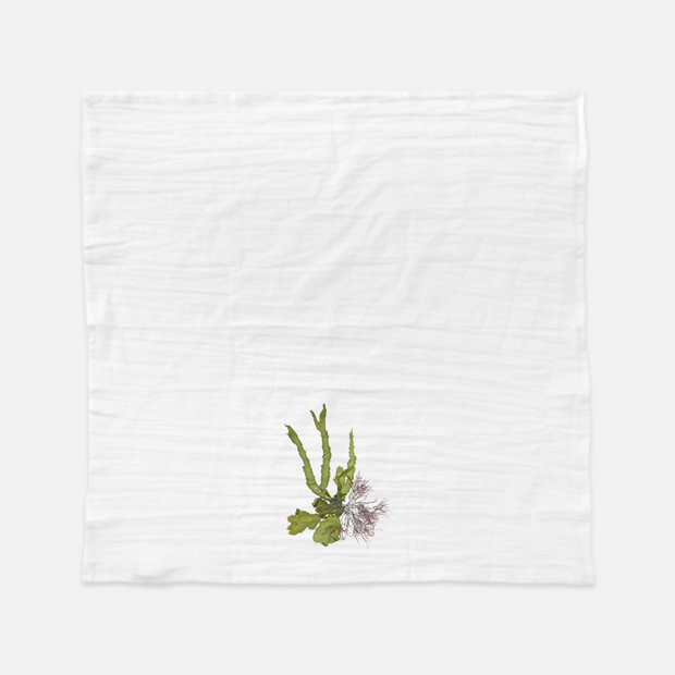 Tea Towel - "Intertidal II"