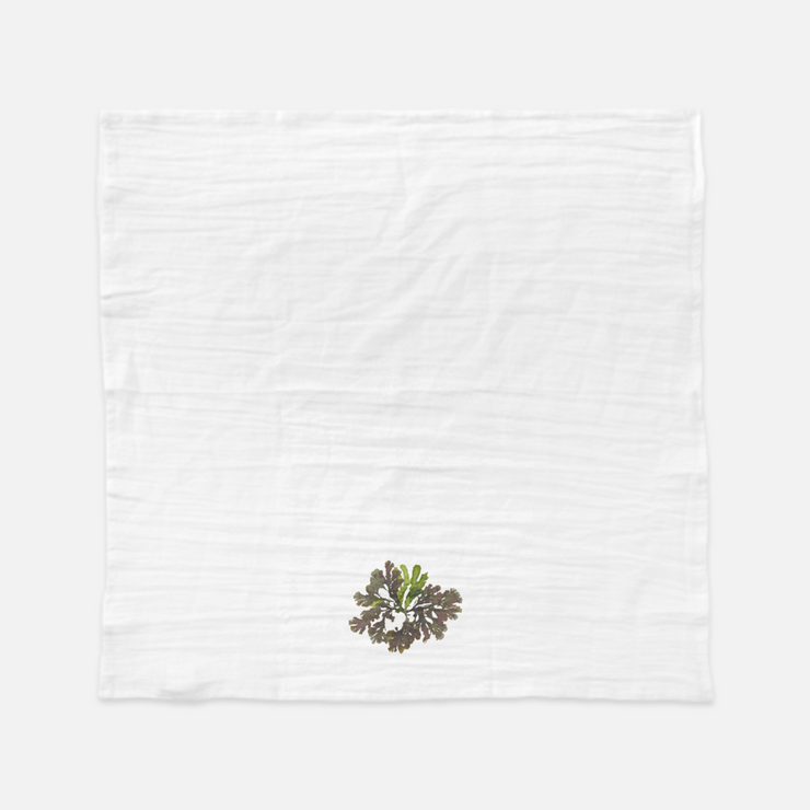 Tea Towel - "Mesh"