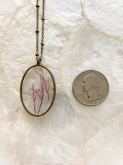 Framed Oval Pendant Necklace - Grateloupia