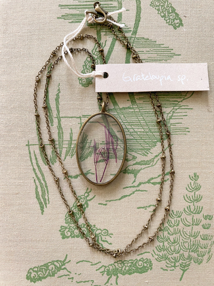 Framed Oval Pendant Necklace - Grateloupia