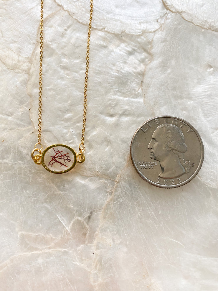 Gold Pendant Necklace - Agardhiella
