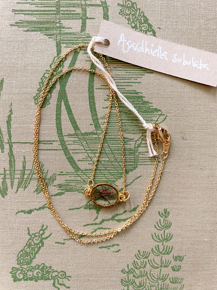 Gold Pendant Necklace - Agardhiella