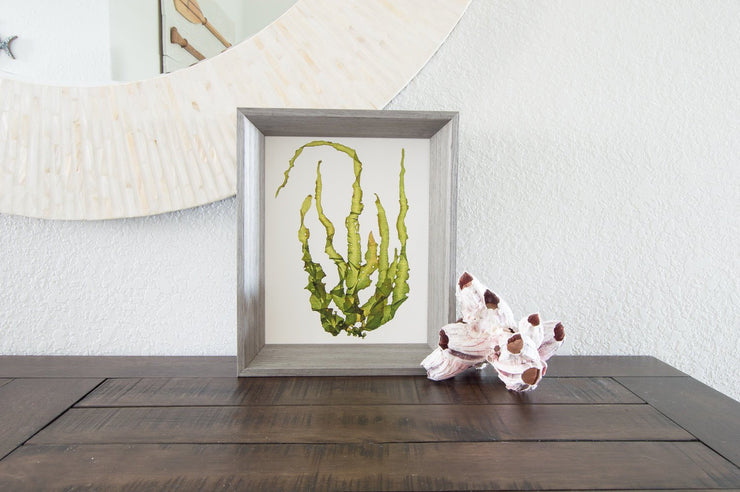 "Intertidal IV" - 8x10 Art Print