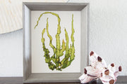"Intertidal IV" - 8x10 Art Print