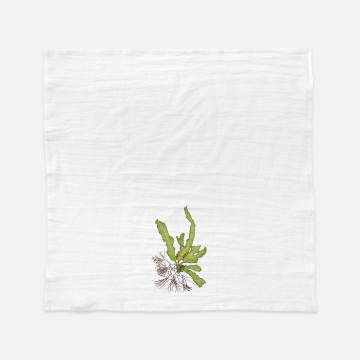 Tea Towel - "Intertidal I"