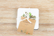 Set of 4 Square Cork-backed Coasters