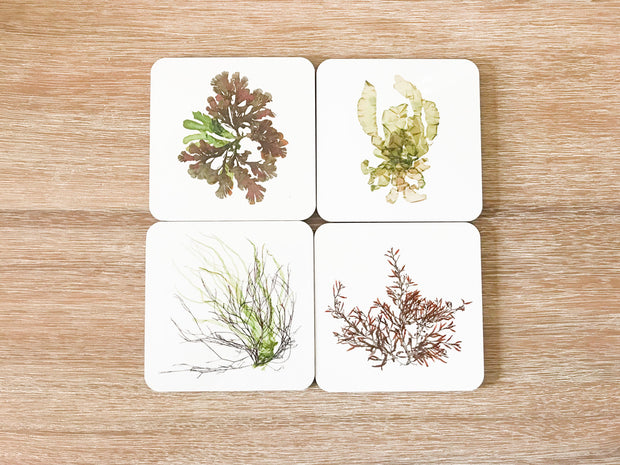 Set of 4 Square Cork-backed Coasters