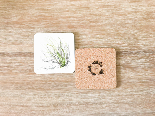 Set of 4 Square Cork-backed Coasters