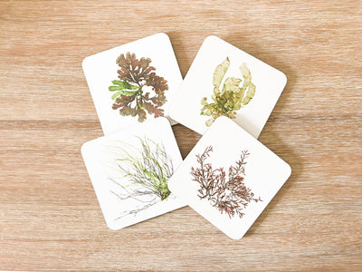 Set of 4 Square Cork-backed Coasters