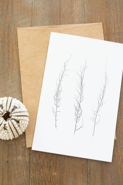 Blank Greeting Card - "Strands"